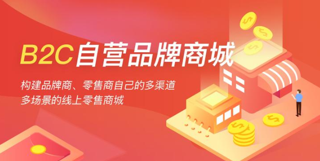 【B2C商城系统】电商网站开发 高端定制商城 开源商城